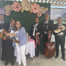 Violin Mariachi 