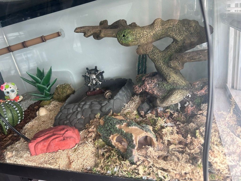 Reptil Tank Or Fish Tank Aquarium 2 Tanks Both Can Be Use For Any....