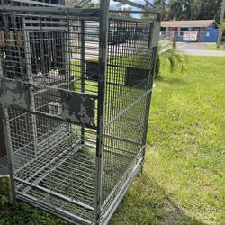 Big Bird. Cage