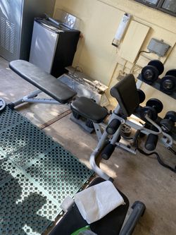 Weight bench press, flat, incline and decline.