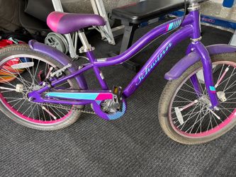 Schwinn Girls’ 20” bike