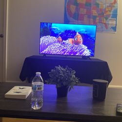 Roku Tv 