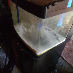 Biocube 28gallon Aquarium