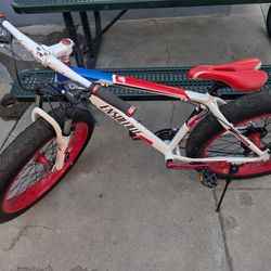 Mountain Bike 