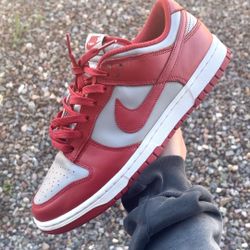 Nike Dunk “UNLV”