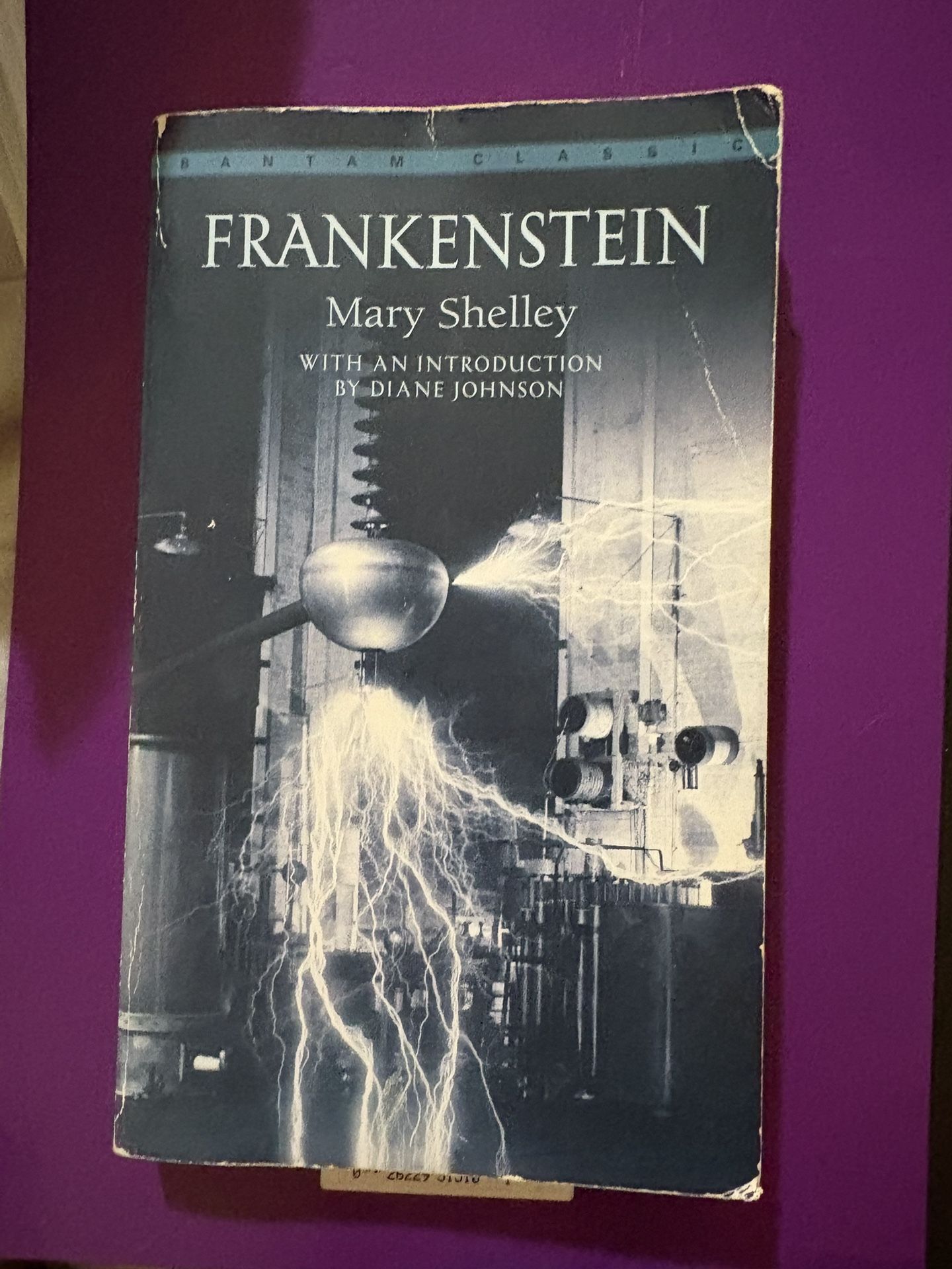 Mary Shelley’s: Frankenstein
