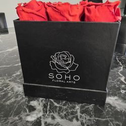 Soho Dried Roses