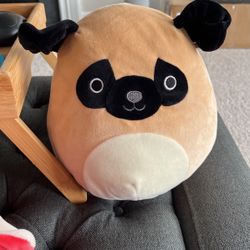 Pug Squishmallow