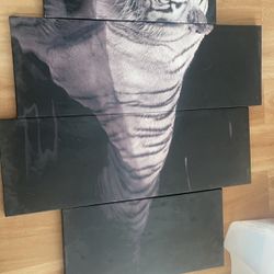4 pieces white tiger wall art
