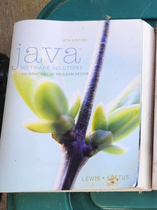 Java Introductory Programming Book