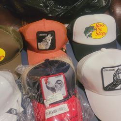  Cachuchas Gorras Beliconas