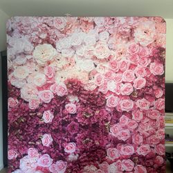 8x8 Photobooth Backdrops + frame 