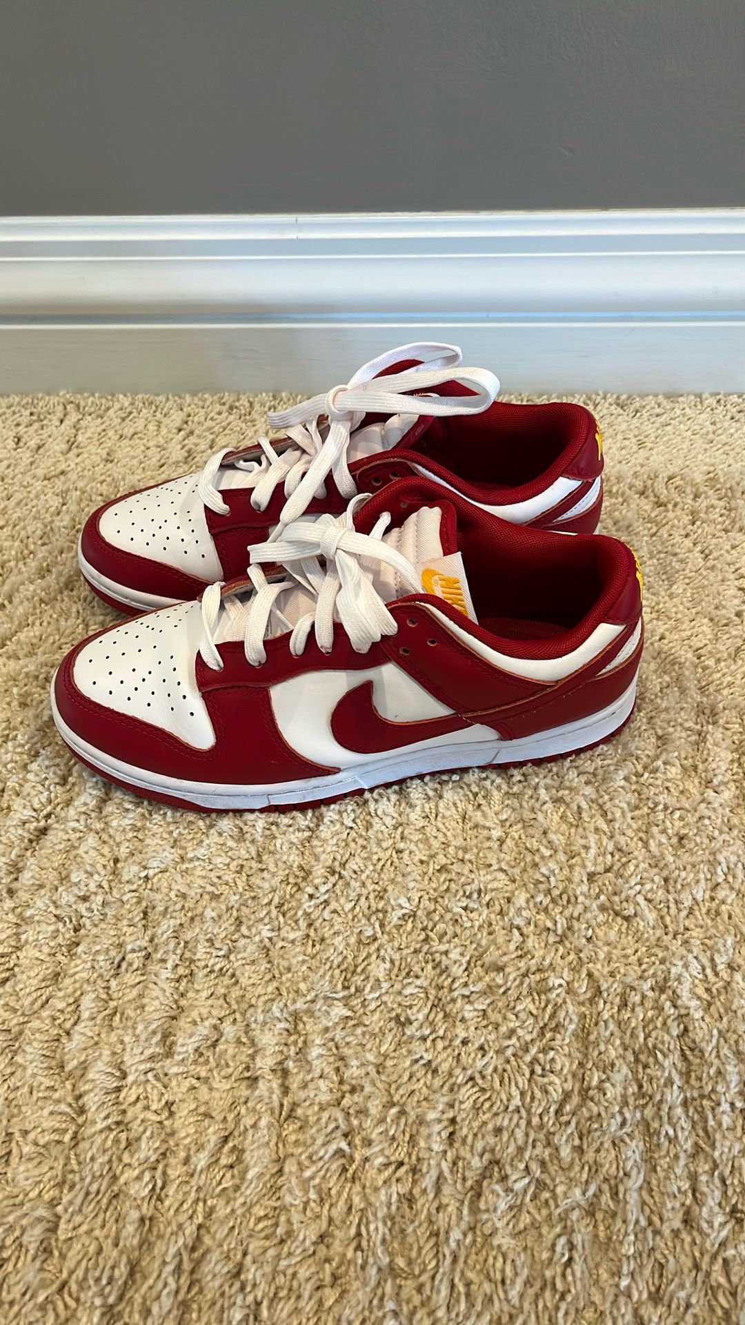 Nike Dunks Size 7