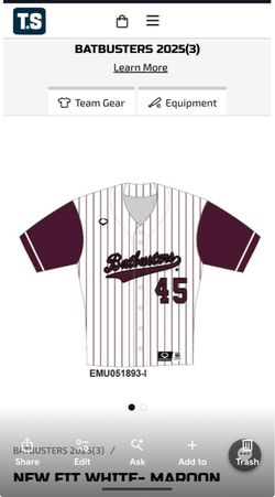 Brand New Batbusters Pinstripes Jersey and Pants