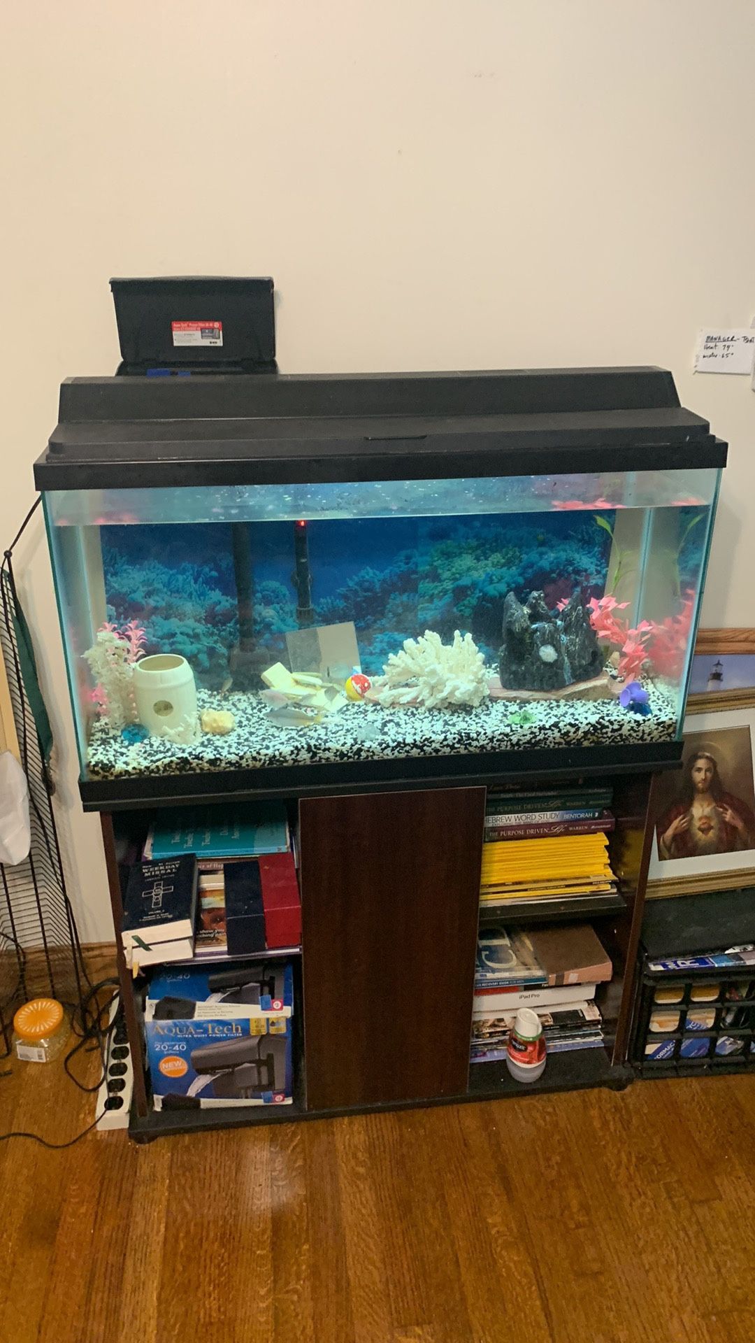 Aquarium 38” 