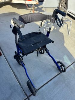 Adult Walker Adult Walker