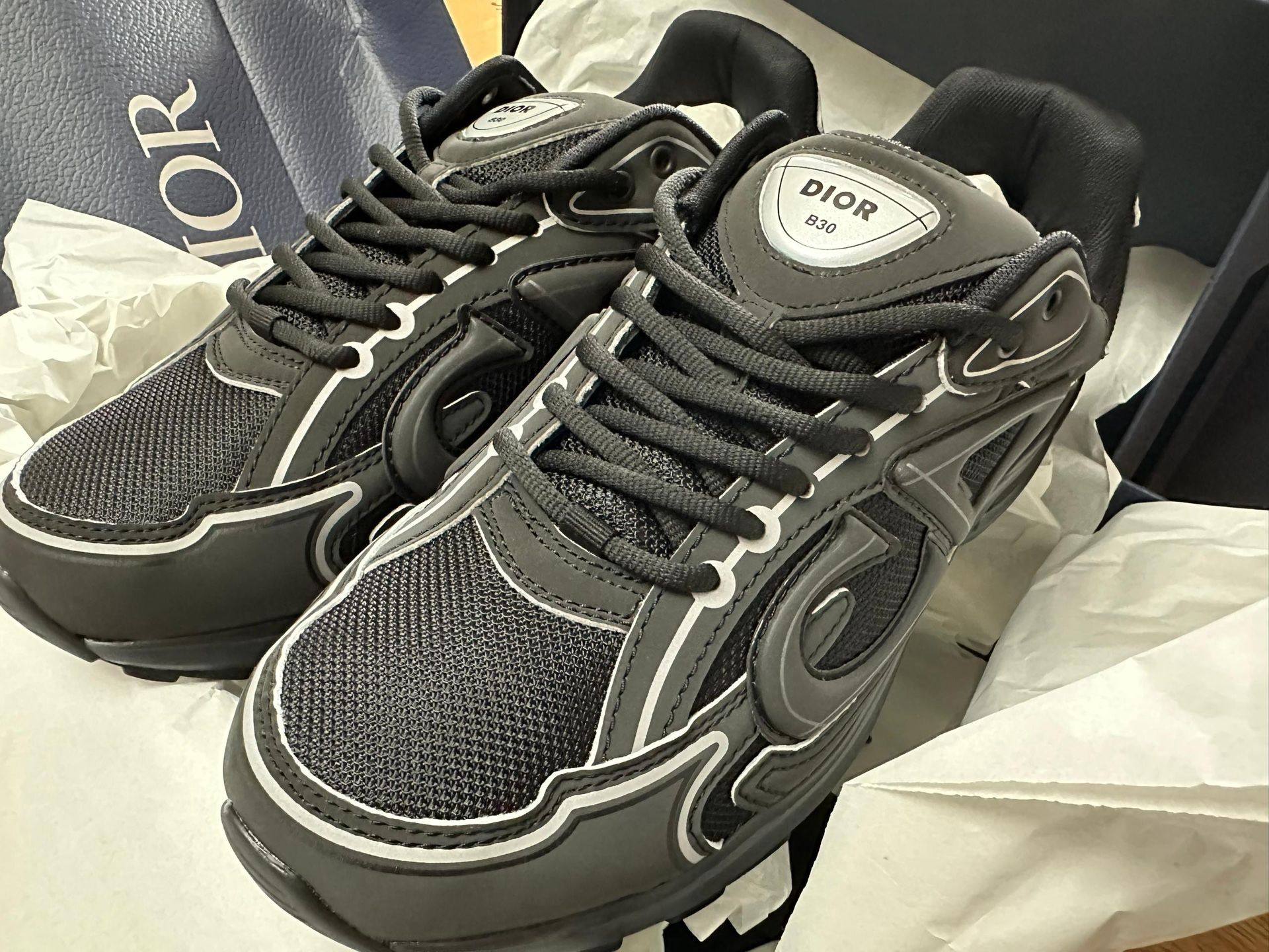 Dior B30s Designer Sneakers