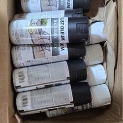 Spray Paint, 10 Cans (6 Black+4 White)