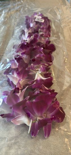 Fresh flowers lies