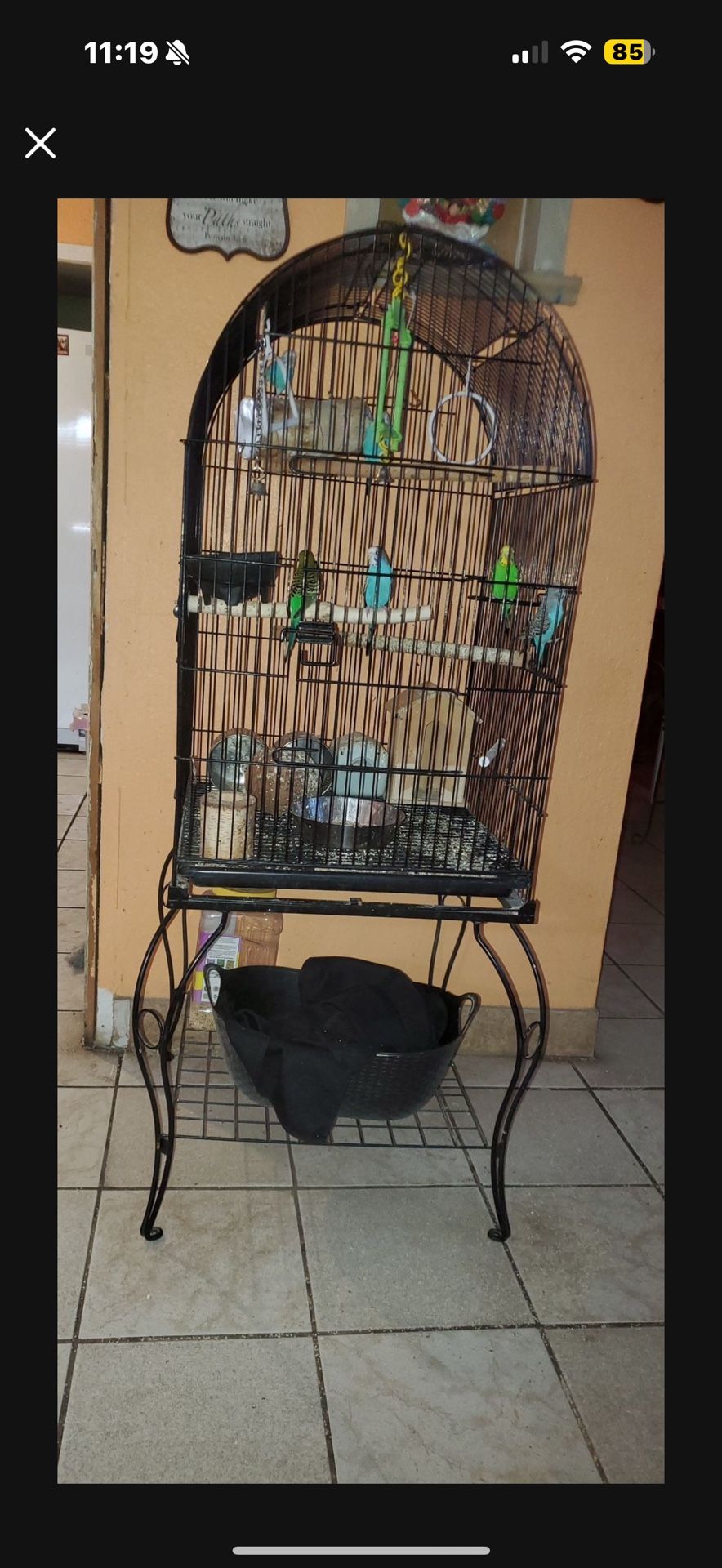 Bird Cage Only
