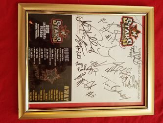 New Mexico State Stars