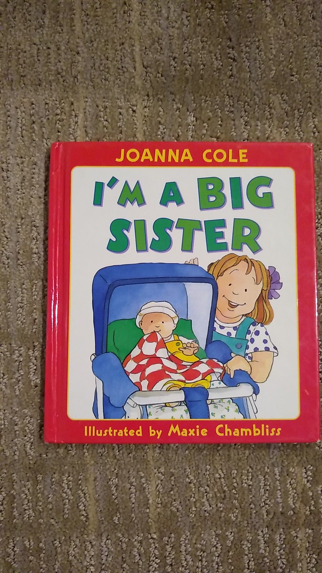 I'm a Big Sister book