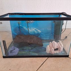 Fish Tank (10 Gal) / Reptile Filter / Turtle Deck