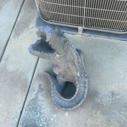 Alligator Statue 
