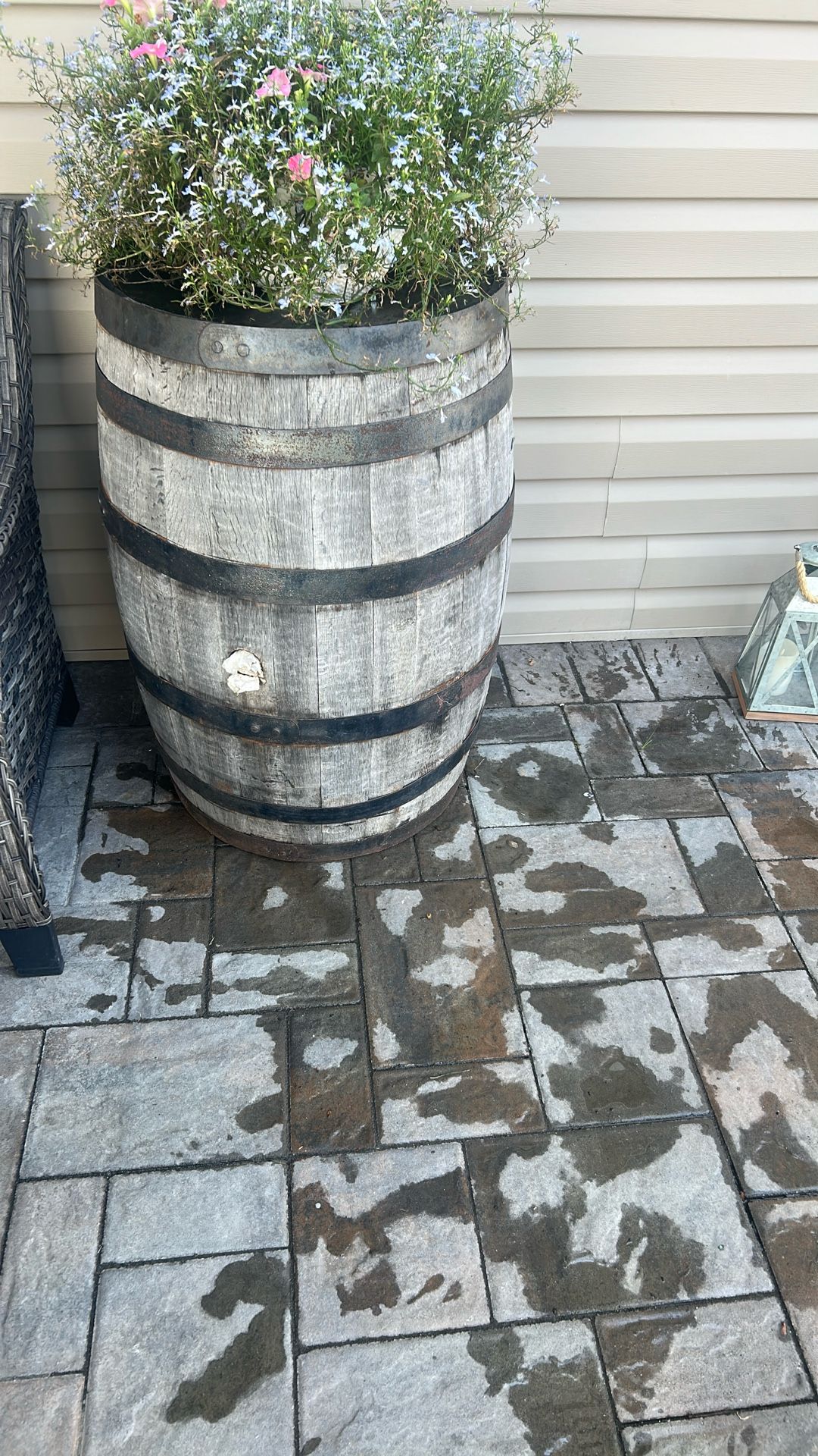 Vintage wine barrels