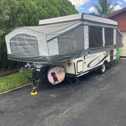 Palomino pop-up