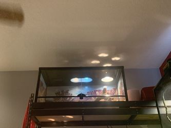 40 gallon Breeder Front Opening Thrive