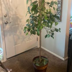 Fake Summer Tree 