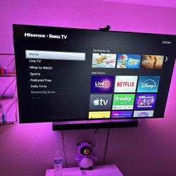 Brand New 65 Inch TV