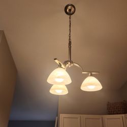 3 Arm Ceiling Light