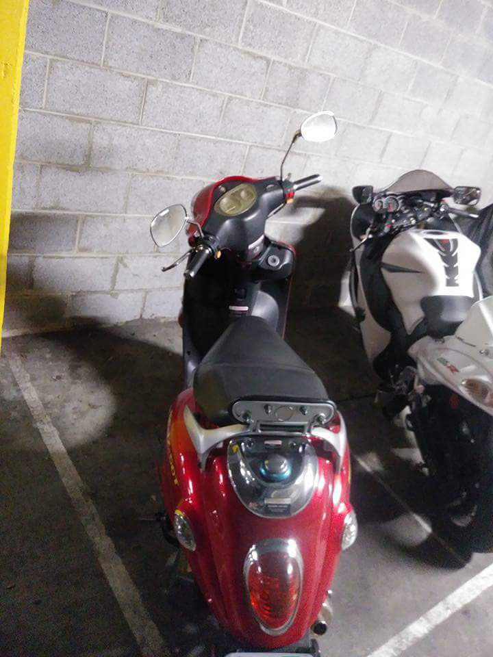 2008 Roketa Moped