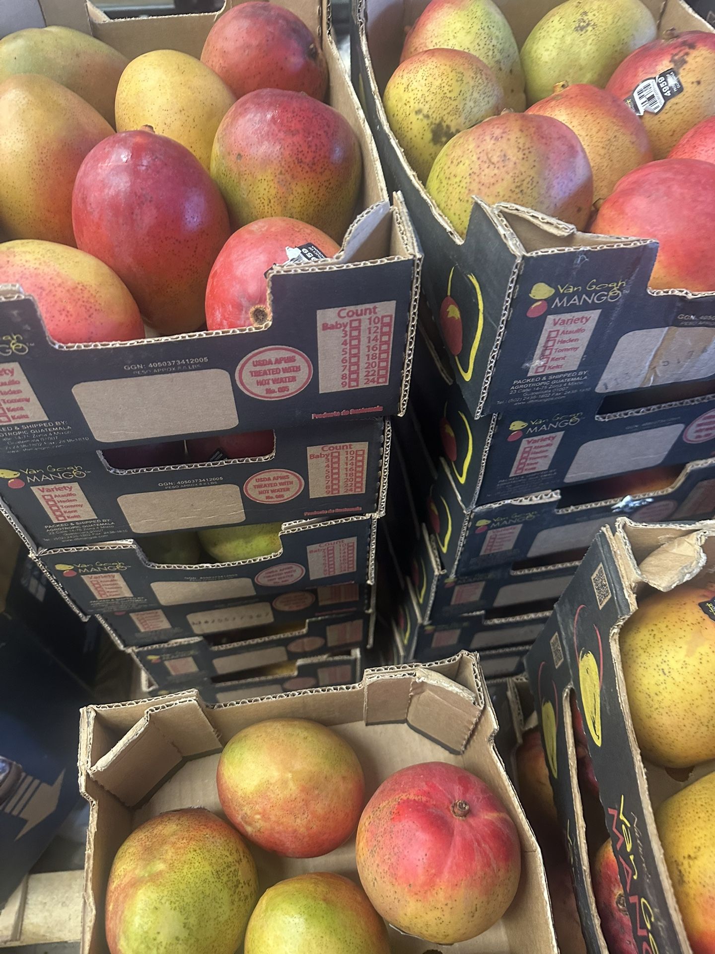 Boxes Of Mangos