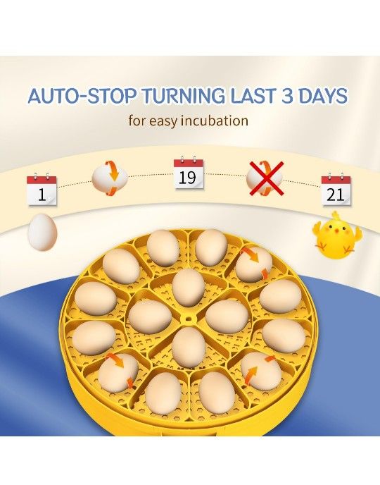 Incubator For Eggs