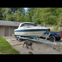 1988 Campion Discovery 210