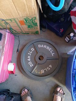 2 45 lb plates