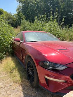 2019 Ford Mustang