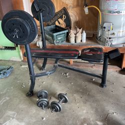 Adidas Bench Press