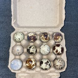 Dozen Fertile Jumbo Quail Eggs