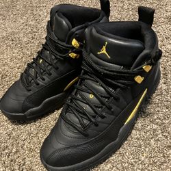 Jordan 12s 