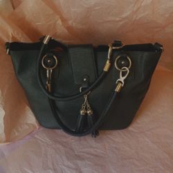 Black Purse 