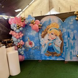 Cinderella Backdrop