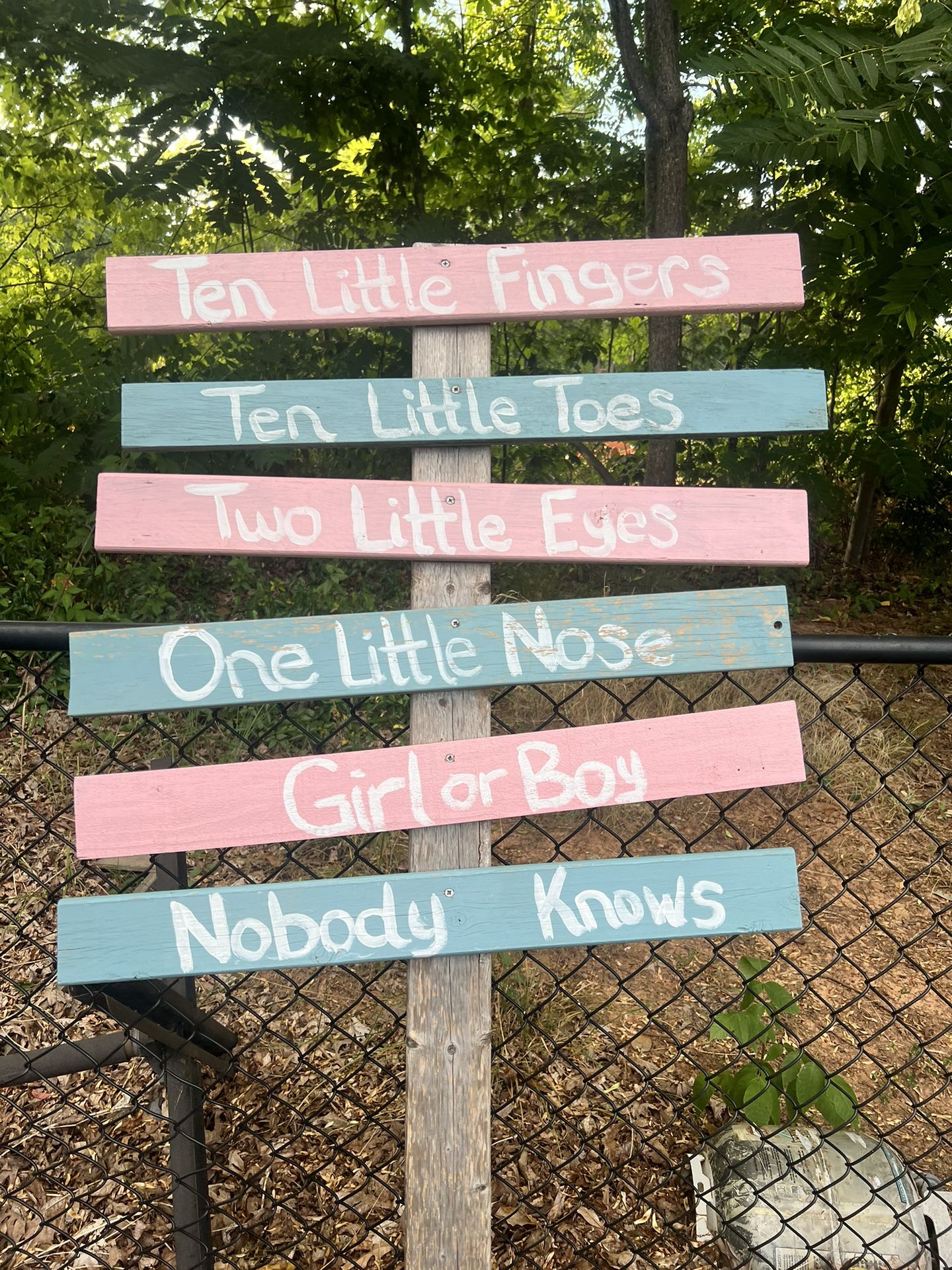 Homemade Gender Reveal Sign