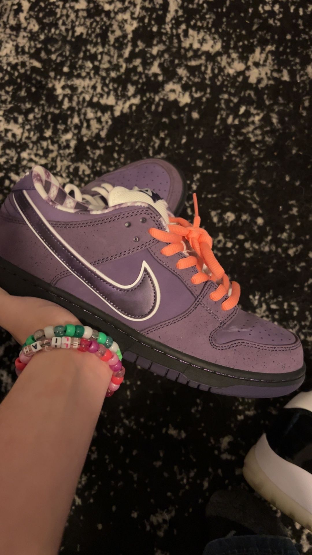 Purple Lobster SB