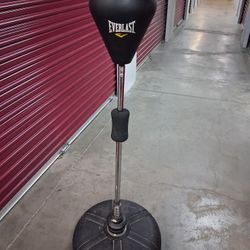 Everlast Punching Bag 