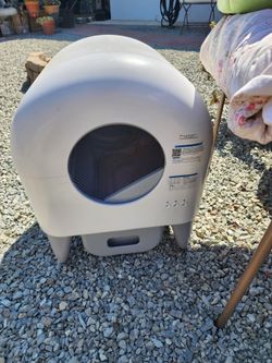 Cat starter kit bundle