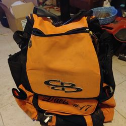 Ball And Bat Bag